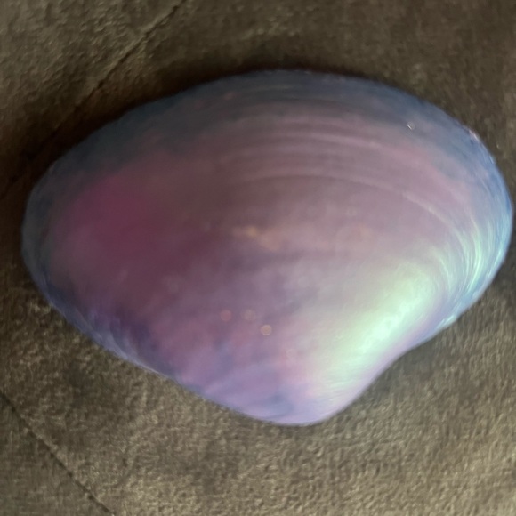 Handcrafted Mermaid Seashell Art - Picture 2 of 3